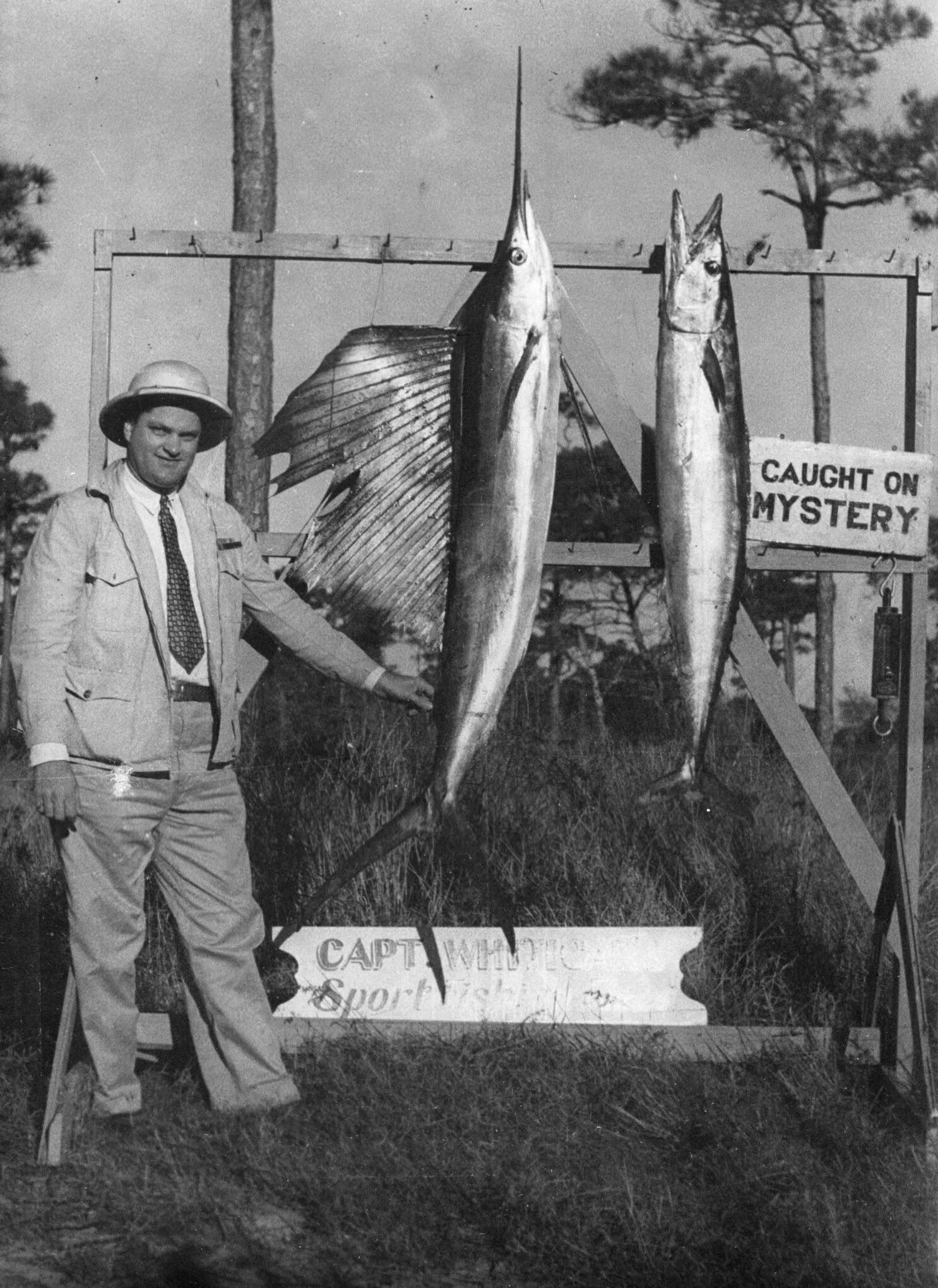 Click to See Next Image